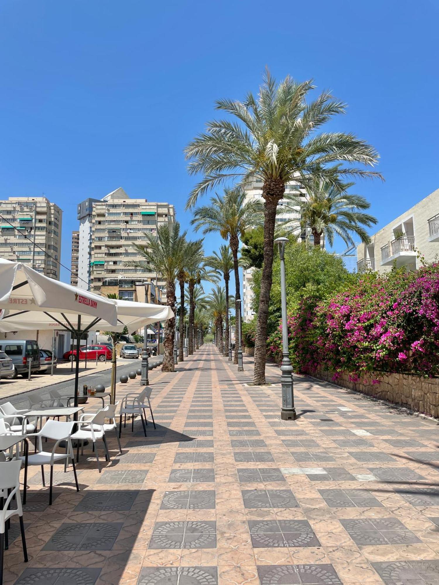 Apartmán New Square Ibiza Benidorm Exteriér fotografie